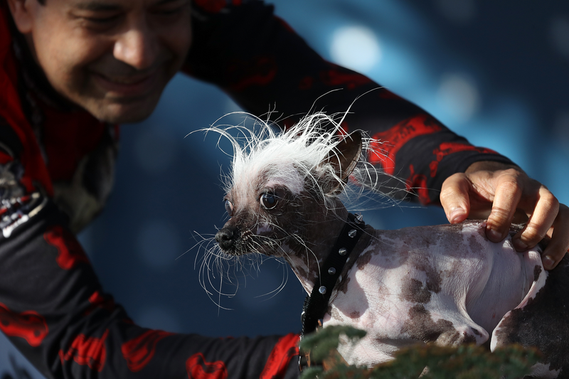 Justin Sullivan/Getty Images